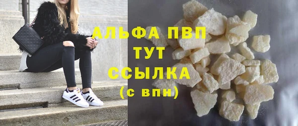 эйфоретик Надым