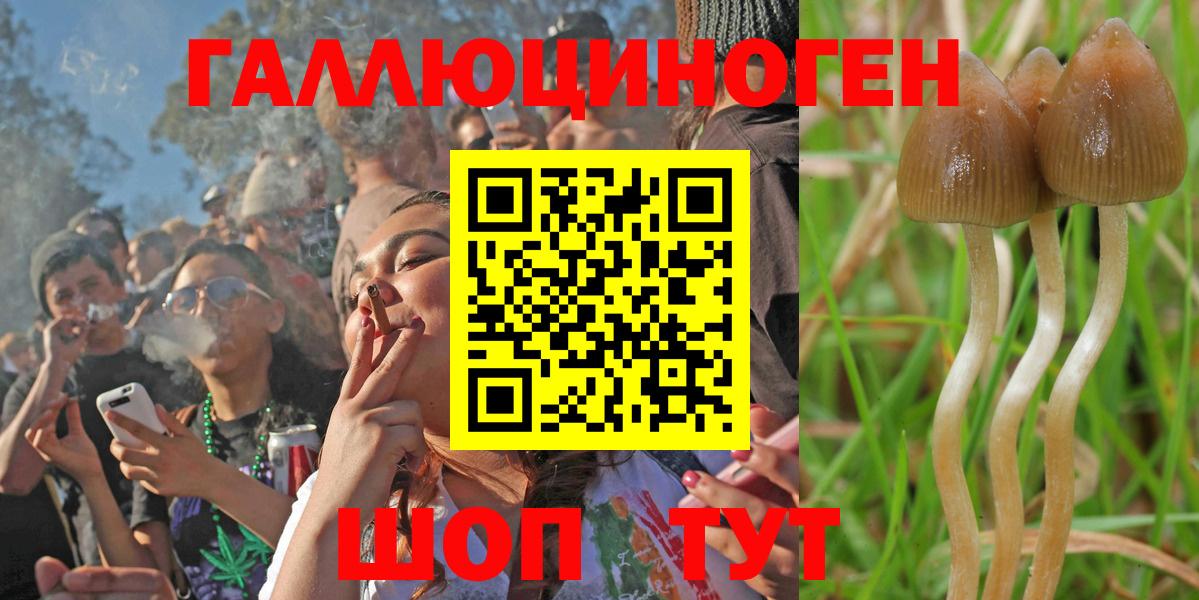 Псилоцибиновые грибы MAGIC MUSHROOMS Дубна