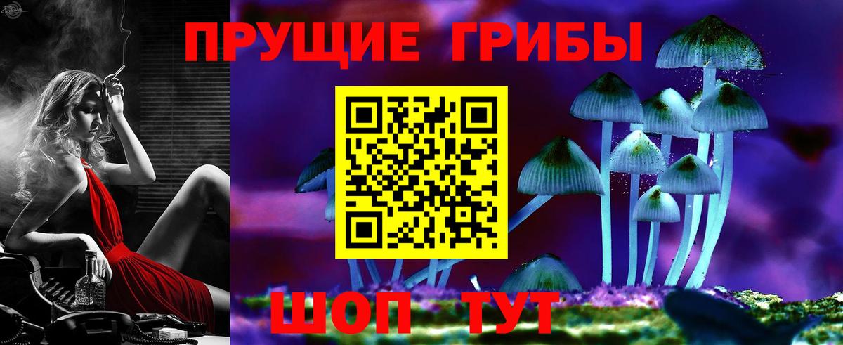Дубна  Галлюциногенные грибы прущие грибы  Вход с VPN 
