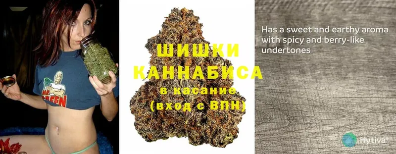 Шишки марихуана Ganja  продажа наркотиков  это какой сайт  Дубна 